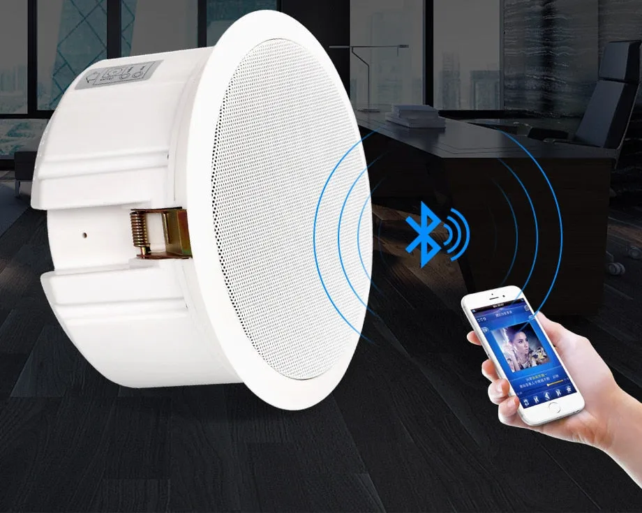 Bluetooth Ceiling Speaker for Bathroom / Kitchen