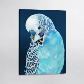 Locky the Budgie Canvas Print