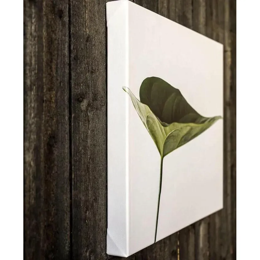 LUCIPUR WALL CANVAS